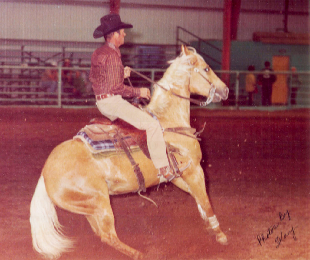 Legenden der American Quarter Horse Zucht Diamonds Sparkle › Quarter