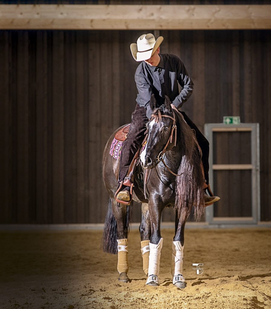 Legenden der American Quarter Horse Zucht Diamonds Sparkle › Quarter